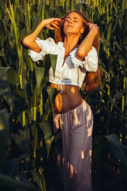 Yazın, batan güneşin ışığında, mısır tarlasında yeşil yaprakların arasında uzun kızıl saçlı güzel bir kadın..