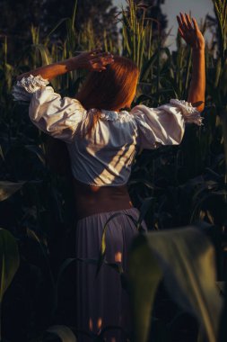 Yazın, batan güneşin ışığında, mısır tarlasında yeşil yaprakların arasında uzun kızıl saçlı güzel bir kadın..