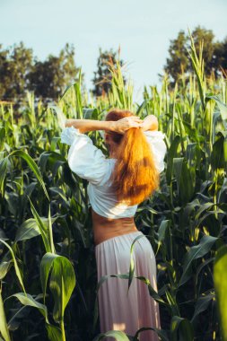Yazın, batan güneşin ışığında, mısır tarlasında yeşil yaprakların arasında uzun kızıl saçlı güzel bir kadın..