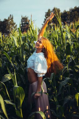 Yazın, batan güneşin ışığında, mısır tarlasında yeşil yaprakların arasında uzun kızıl saçlı güzel bir kadın..