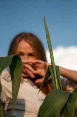 Yazın, batan güneşin ışığında, mısır tarlasında yeşil yaprakların arasında uzun kızıl saçlı güzel bir kadın..