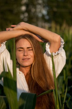 Yazın, batan güneşin ışığında, mısır tarlasında yeşil yaprakların arasında uzun kızıl saçlı güzel bir kadın..