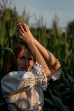 Yazın, batan güneşin ışığında, mısır tarlasında yeşil yaprakların arasında uzun kızıl saçlı güzel bir kadın..