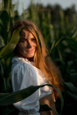 Yazın, batan güneşin ışığında, mısır tarlasında yeşil yaprakların arasında uzun kızıl saçlı güzel bir kadın..