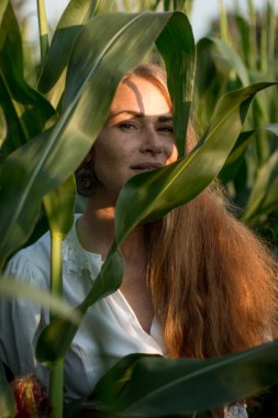Yazın, batan güneşin ışığında, mısır tarlasında yeşil yaprakların arasında uzun kızıl saçlı güzel bir kadın..