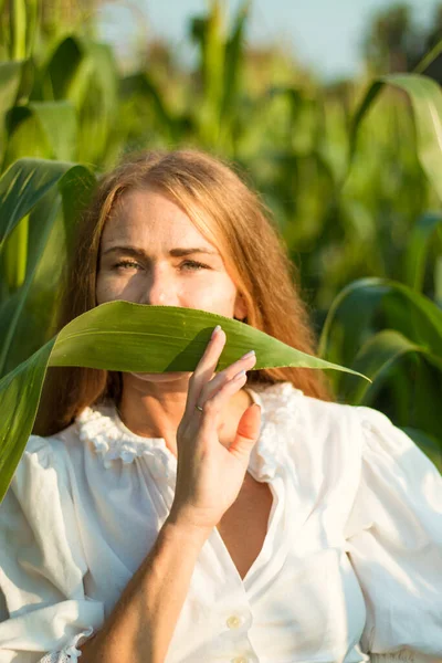 夏日里 在夕阳西下的玉米地上 长着长长的红头发 绿叶丛生的年轻貌美的女人 — 图库照片