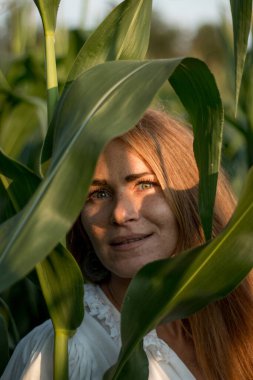 Yazın, batan güneşin ışığında, mısır tarlasında yeşil yaprakların arasında uzun kızıl saçlı güzel bir kadın..