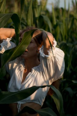 Yazın, batan güneşin ışığında, mısır tarlasında yeşil yaprakların arasında uzun kızıl saçlı güzel bir kadın..