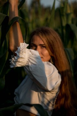 Yazın, batan güneşin ışığında, mısır tarlasında yeşil yaprakların arasında uzun kızıl saçlı güzel bir kadın..