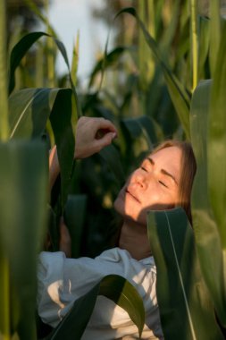 Yazın, batan güneşin ışığında, mısır tarlasında yeşil yaprakların arasında uzun kızıl saçlı güzel bir kadın..