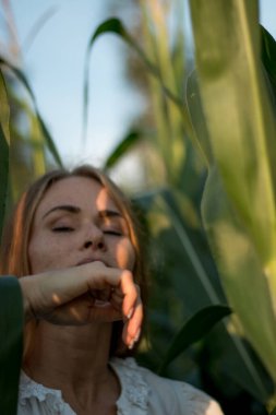 Yazın, batan güneşin ışığında, mısır tarlasında yeşil yaprakların arasında uzun kızıl saçlı güzel bir kadın..