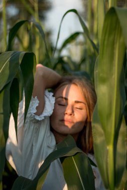 Yazın, batan güneşin ışığında, mısır tarlasında yeşil yaprakların arasında uzun kızıl saçlı güzel bir kadın..