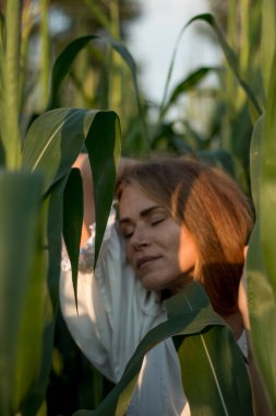 Yazın, batan güneşin ışığında, mısır tarlasında yeşil yaprakların arasında uzun kızıl saçlı güzel bir kadın..