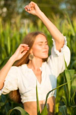 Yazın, batan güneşin ışığında, mısır tarlasında yeşil yaprakların arasında uzun kızıl saçlı güzel bir kadın..