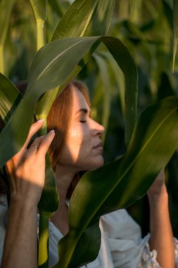 Yazın, batan güneşin ışığında, mısır tarlasında yeşil yaprakların arasında uzun kızıl saçlı güzel bir kadın..