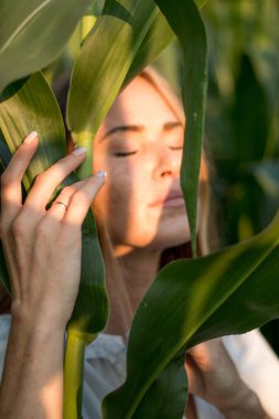 Yazın, batan güneşin ışığında, mısır tarlasında yeşil yaprakların arasında uzun kızıl saçlı güzel bir kadın..