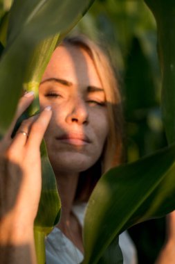 Yazın, batan güneşin ışığında, mısır tarlasında yeşil yaprakların arasında uzun kızıl saçlı güzel bir kadın..
