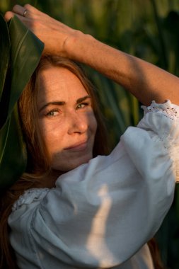 Yazın, batan güneşin ışığında, mısır tarlasında yeşil yaprakların arasında uzun kızıl saçlı güzel bir kadın..