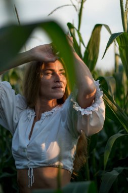 Yazın, batan güneşin ışığında, mısır tarlasında yeşil yaprakların arasında uzun kızıl saçlı güzel bir kadın..