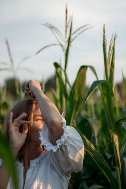 Yazın, batan güneşin ışığında, mısır tarlasında yeşil yaprakların arasında uzun kızıl saçlı güzel bir kadın..