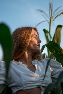 Yazın, batan güneşin ışığında, mısır tarlasında yeşil yaprakların arasında uzun kızıl saçlı güzel bir kadın..