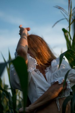 Yazın, batan güneşin ışığında, mısır tarlasında yeşil yaprakların arasında uzun kızıl saçlı güzel bir kadın..
