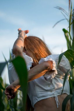 Yazın, batan güneşin ışığında, mısır tarlasında yeşil yaprakların arasında uzun kızıl saçlı güzel bir kadın..