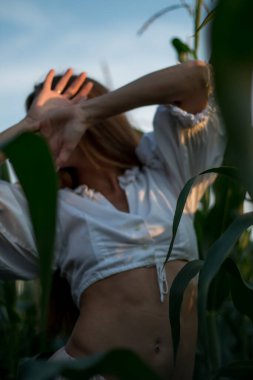 Yazın, batan güneşin ışığında, mısır tarlasında yeşil yaprakların arasında uzun kızıl saçlı güzel bir kadın..