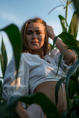 Yazın, batan güneşin ışığında, mısır tarlasında yeşil yaprakların arasında uzun kızıl saçlı güzel bir kadın..