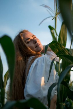 Yazın, batan güneşin ışığında, mısır tarlasında yeşil yaprakların arasında uzun kızıl saçlı güzel bir kadın..