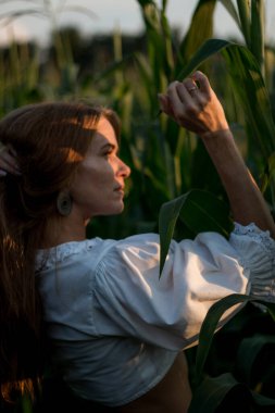 Yazın, batan güneşin ışığında, mısır tarlasında yeşil yaprakların arasında uzun kızıl saçlı güzel bir kadın..