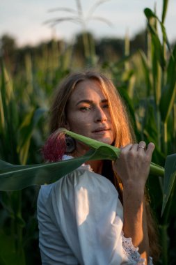 Yazın, batan güneşin ışığında, mısır tarlasında yeşil yaprakların arasında uzun kızıl saçlı güzel bir kadın..