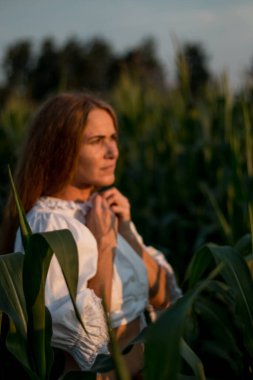 Yazın, batan güneşin ışığında, mısır tarlasında yeşil yaprakların arasında uzun kızıl saçlı güzel bir kadın..