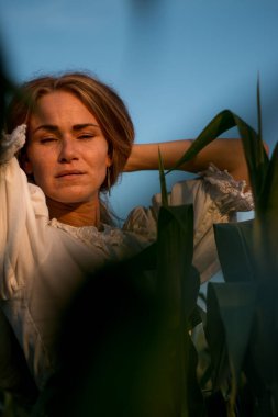 Yazın, batan güneşin ışığında, mısır tarlasında yeşil yaprakların arasında uzun kızıl saçlı güzel bir kadın..