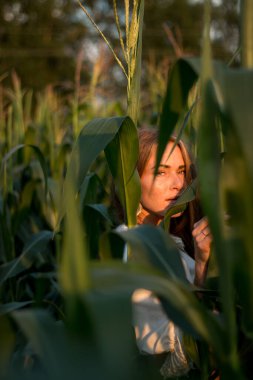 Yazın, batan güneşin ışığında, mısır tarlasında yeşil yaprakların arasında uzun kızıl saçlı güzel bir kadın..