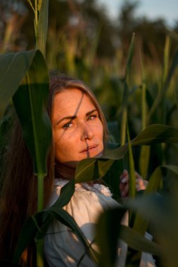 Yazın, batan güneşin ışığında, mısır tarlasında yeşil yaprakların arasında uzun kızıl saçlı güzel bir kadın..