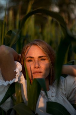 Yazın, batan güneşin ışığında, mısır tarlasında yeşil yaprakların arasında uzun kızıl saçlı güzel bir kadın..