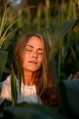 Yazın, batan güneşin ışığında, mısır tarlasında yeşil yaprakların arasında uzun kızıl saçlı güzel bir kadın..