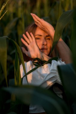 Yazın, batan güneşin ışığında, mısır tarlasında yeşil yaprakların arasında uzun kızıl saçlı güzel bir kadın..