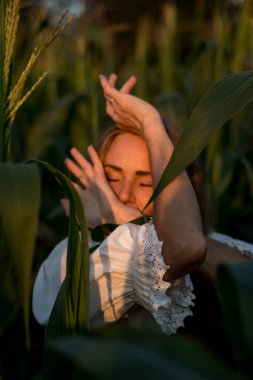 Yazın, batan güneşin ışığında, mısır tarlasında yeşil yaprakların arasında uzun kızıl saçlı güzel bir kadın..