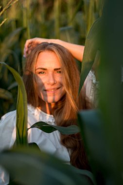Yazın, batan güneşin ışığında, mısır tarlasında yeşil yaprakların arasında uzun kızıl saçlı güzel bir kadın..