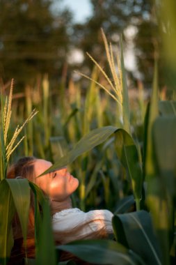 Yazın, batan güneşin ışığında, mısır tarlasında yeşil yaprakların arasında uzun kızıl saçlı güzel bir kadın..