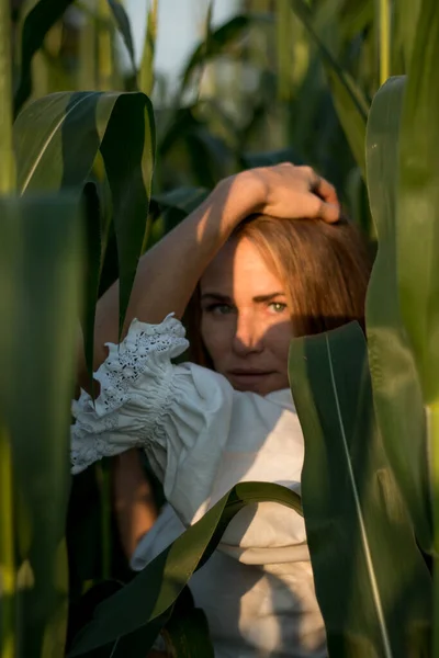 夏日里 在夕阳西下的玉米地上 长着长长的红头发 绿叶丛生的年轻貌美的女人 — 图库照片