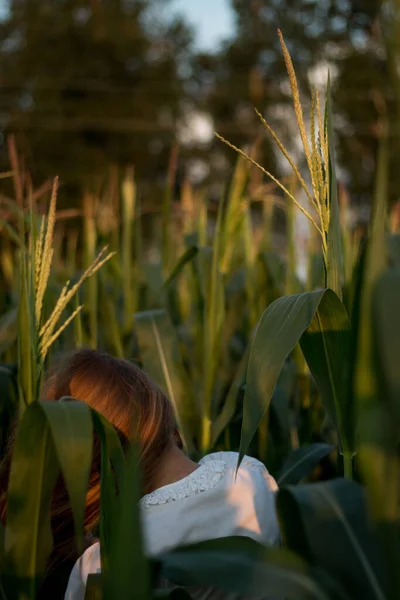 Young Beautiful Woman Long Red Hair Green Leaves Corn Field — Stock Photo, Image
