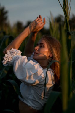 Yazın, batan güneşin ışığında, mısır tarlasında yeşil yaprakların arasında uzun kızıl saçlı güzel bir kadın..