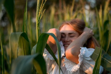 Yazın, batan güneşin ışığında, mısır tarlasında yeşil yaprakların arasında uzun kızıl saçlı güzel bir kadın..
