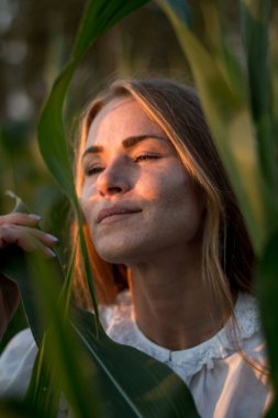 Yazın, batan güneşin ışığında, mısır tarlasında yeşil yaprakların arasında uzun kızıl saçlı güzel bir kadın..