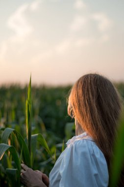 Yazın, batan güneşin ışığında, mısır tarlasında yeşil yaprakların arasında uzun kızıl saçlı güzel bir kadın..