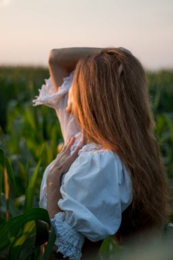 Yazın, batan güneşin ışığında, mısır tarlasında yeşil yaprakların arasında uzun kızıl saçlı güzel bir kadın..