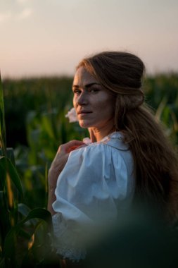 Yazın, batan güneşin ışığında, mısır tarlasında yeşil yaprakların arasında uzun kızıl saçlı güzel bir kadın..